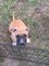 Click to view classifieds YMRXBXTO