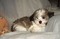 Click to view classifieds XLRNTTFD