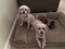 Click to view classifieds JMMONQWP