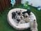 Click to view classifieds ZXNWOTGZ