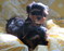 Click to view classifieds HWMJUQDG