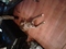 Click to view classifieds ZBHXNKKC
