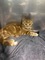 Click to view classifieds ZXLFDXHG