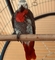 Click to view classifieds AJBZHYNX
