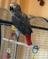 Click to view classifieds RKMWQNGE