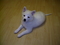 Click to view classifieds MVAEBFGY