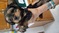 Click to view classifieds LACSPDTJ