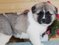 Click to view classifieds GVBVUGBE