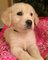Click to view classifieds WOXWMOVQ