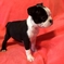 Click to view classifieds JNHSZWLL