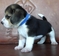 Click to view classifieds KBNFTPBL