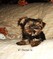 Click to view classifieds WJXLXBZJ