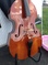 Click to view classifieds MUPXWSHB