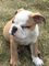 Click to view classifieds VQJPDBHH