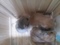 Click to view classifieds ACJXXJLO
