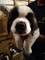 Click to view classifieds UORBVQPL