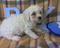 Click to view classifieds TFAPKMAE