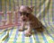 Click to view classifieds AOWBWBFW