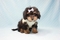 Click to view classifieds VRNEPFHR