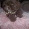 Click to view classifieds AVHVXJUY