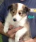 Click to view classifieds OWOTBADV