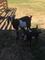 Click to view classifieds WKPKVXYA