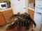 Click to view classifieds HLANMZNL
