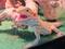 Click to view classifieds VJBBHWNY