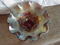 Click to view classifieds PTVXBTUE