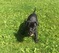 Click to view classifieds RHQNXHSN