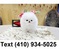 Click to view classifieds CFLZJBVF