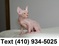 Click to view classifieds JQTQAQPM