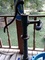 Click to view classifieds AVDJEYXP