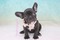 Click to view classifieds ASNWDUUG
