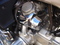 Click to view classifieds NKVTGVQK