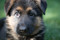Click to view classifieds BHSPNLAT