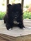 Click to view classifieds OWDCPEAJ