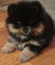 Click to view classifieds BSKAFANO