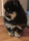 Click to view classifieds NHJMBTWJ