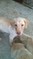 Click to view classifieds KLMNFNCT