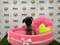 Click to view classifieds LDMWERGT