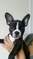 Click to view classifieds XHTZBRXS
