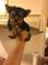 Click to view classifieds KNVKBGKW