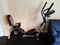 Click to view classifieds FGZCGBQT
