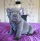 Click to view classifieds SDUVDVXU