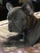 Click to view classifieds GBJCPCZM