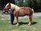 Click to view classifieds PPPPVGFZ