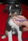 Click to view classifieds RORZLMFC