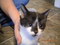 Click to view classifieds UKYYDJAQ