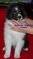 Click to view classifieds VDQPFPHB